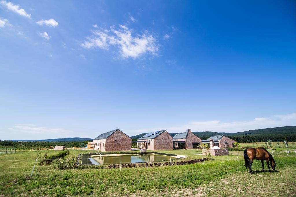 Vila Oeregtoelgy Vendeghaz Szár Exteriér fotografie