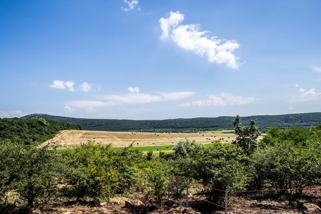 Vila Oeregtoelgy Vendeghaz Szár Exteriér fotografie