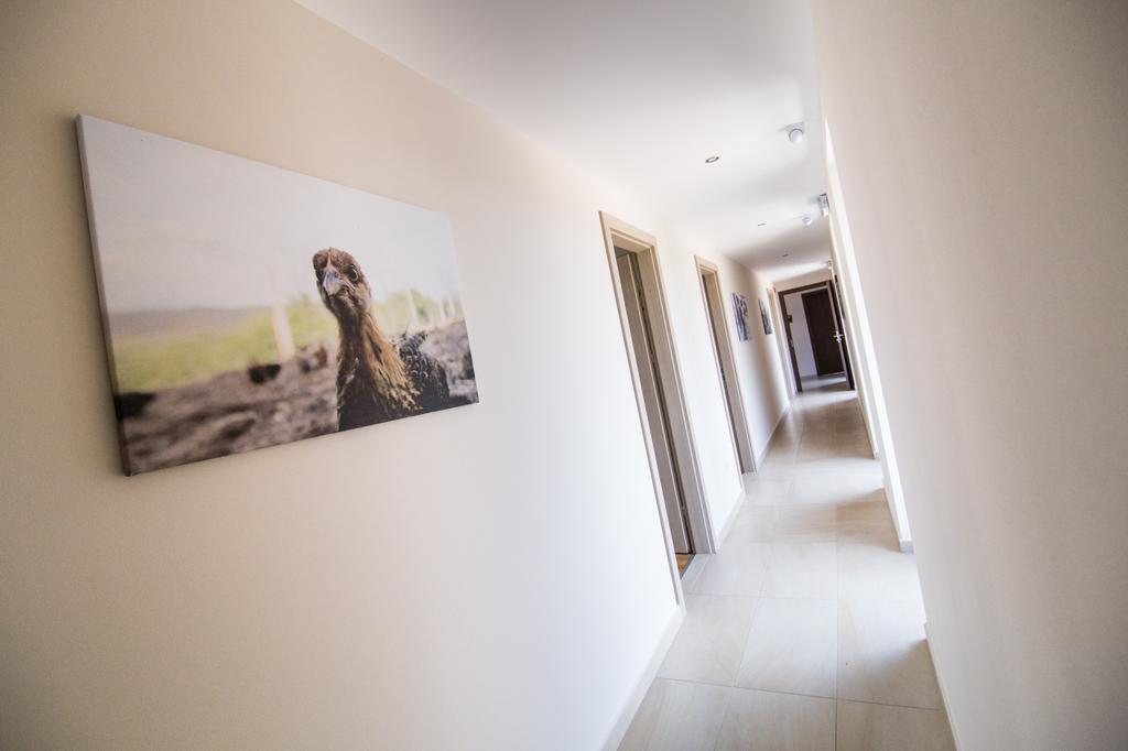 Vila Oeregtoelgy Vendeghaz Szár Exteriér fotografie